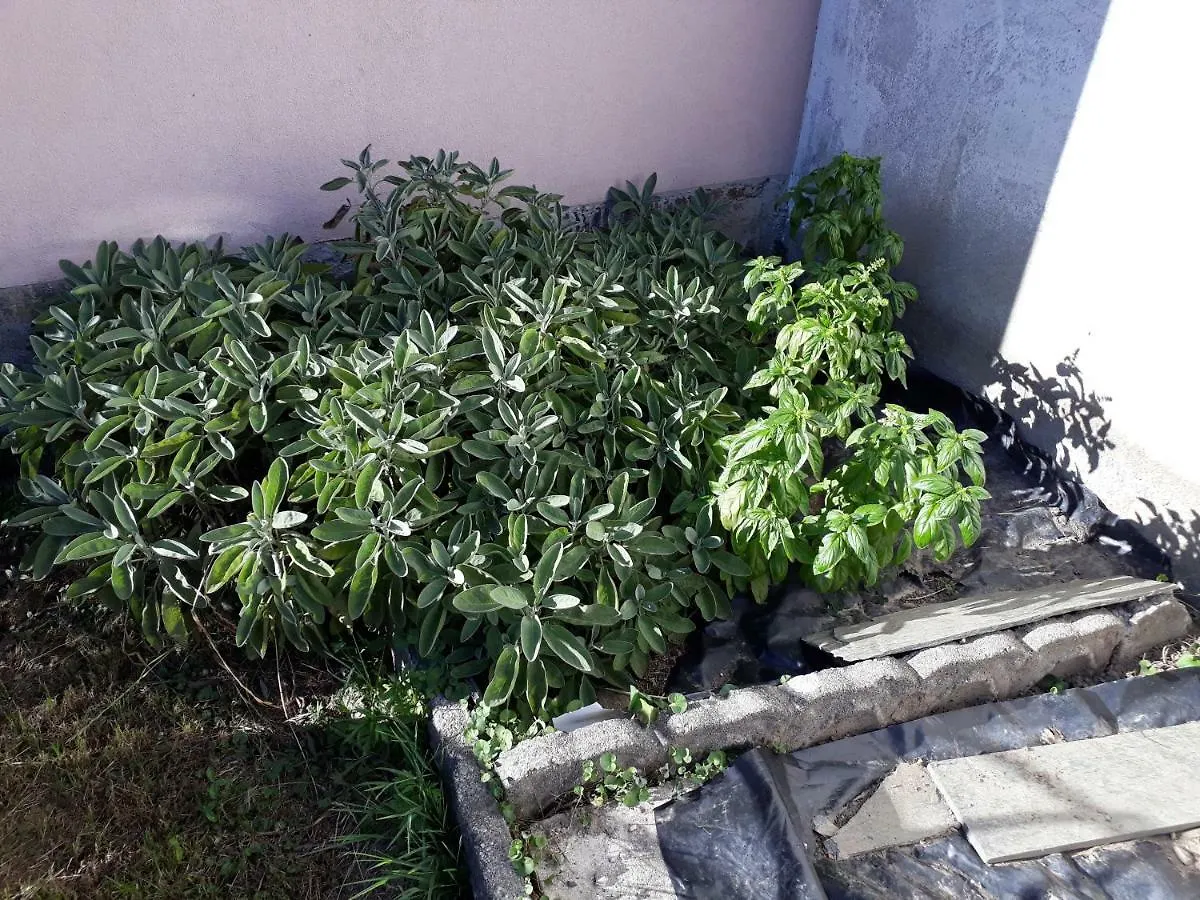 Сasa de vacaciones Casa Di Ica Villa Dervio